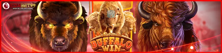 รูปแบบเกม buffalo win เล่นไม่ยาก มีความโดดเด่นอยู่ในตัว ที่ไม่มีซ้ำใคร